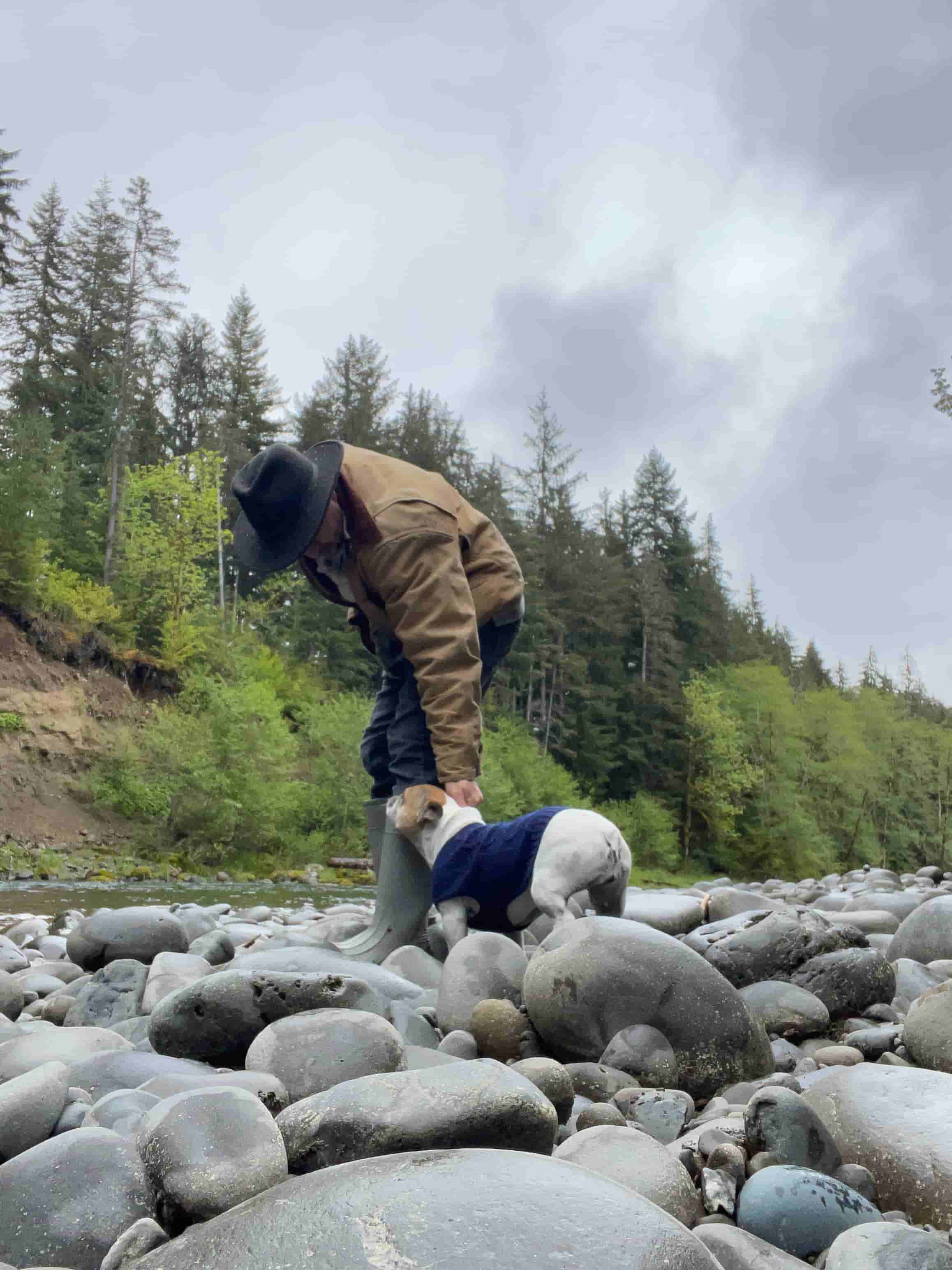 David All — Arlington Tree Co.