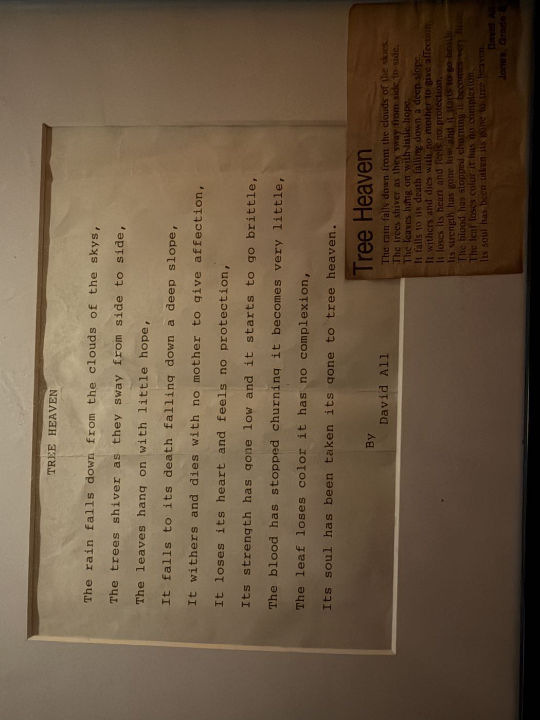 The original 'Tree Heaven' poem framed at home, with the UA News clipping in the corner